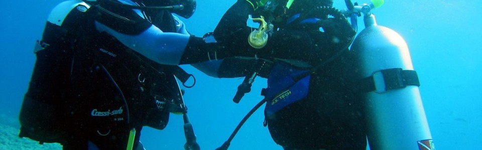 Професійне водолазне обладнання спорядження для дайвінгу водолазні костюми аксесуари ножі для підводного полювання Польща